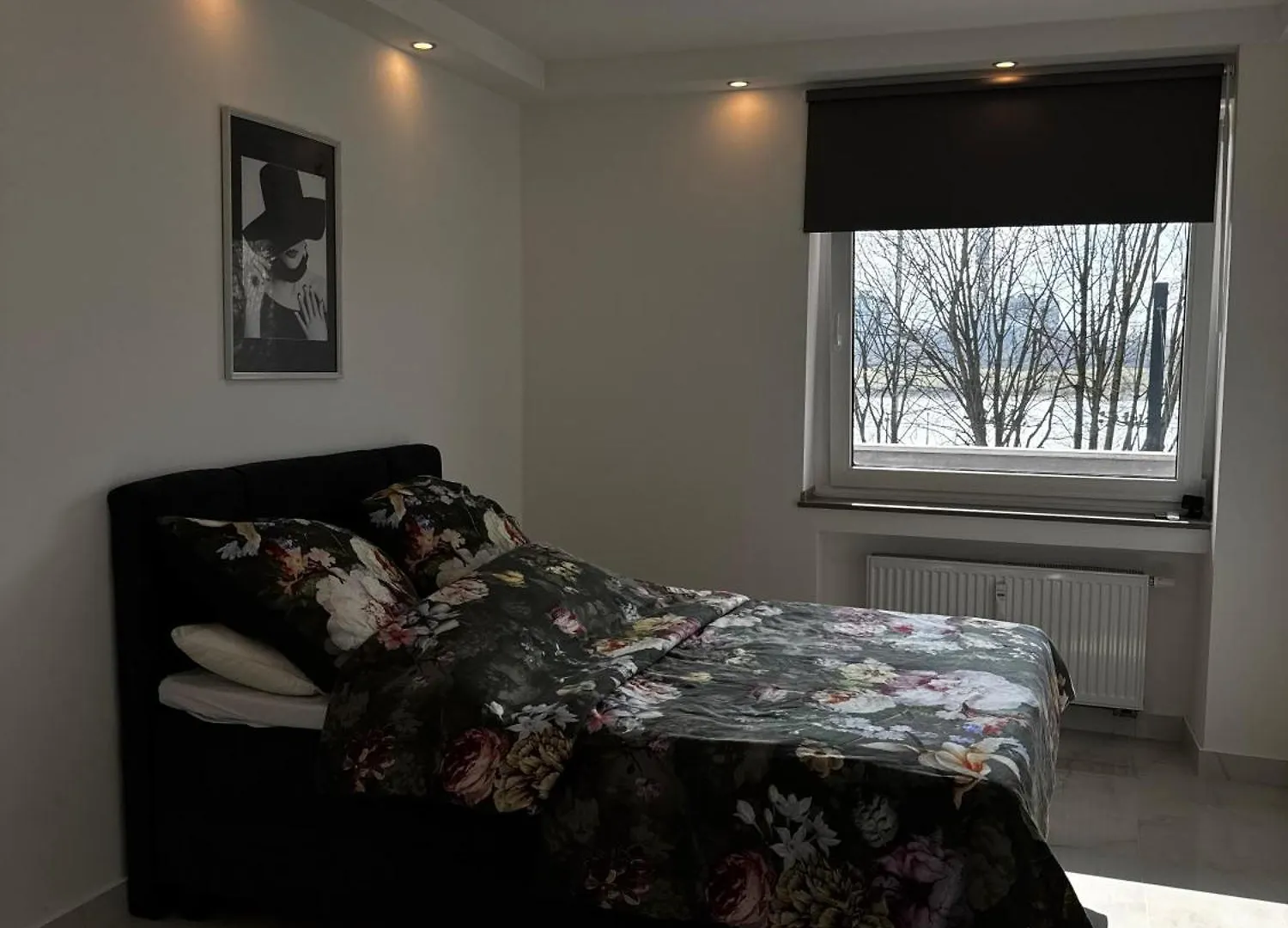 Luxus Apartment In Duesseldorf Rheinblick Germany